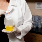 Uncovering the Truth: Debunking Myths About Synthetic Urine and Drug Testing